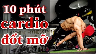 10 Phút Tập Cardio Cường Độ Cao (HIIT) Tại Nhà | Giảm Mỡ & Tăng Sức Bền Hiệu Quả (Độ Khó Vừa Phải)