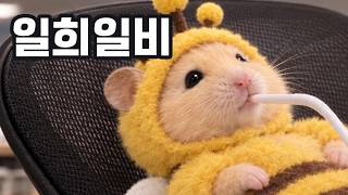screenshot of the youtube video