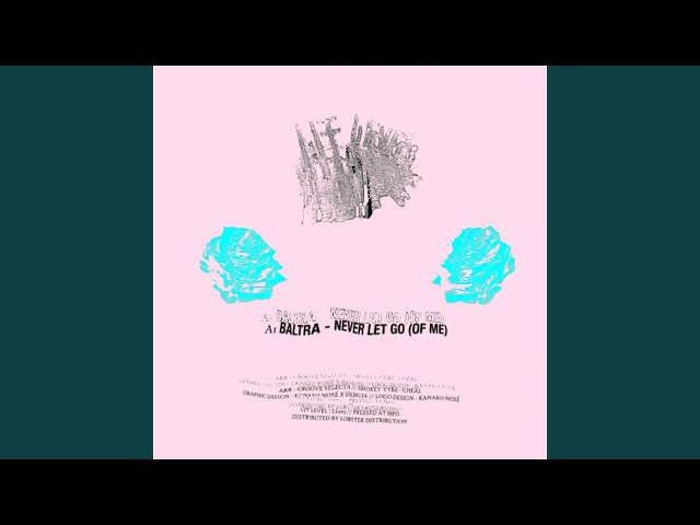 Never Let Go (Of Me) (Sped Up Extended Version)