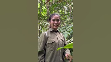 Vào rừng có gì (p2)#trieuthimay #cuộcsốngmiềnnúi #cuộcsốnghàngngày