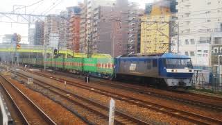 2019/3/16 貨物列車56レEF210-5号機(岡)牽引 福山レールエクスプレス