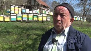 Tešanjska Hronika 950 Štete U Košnicama Uzrokovane Prošlogodišnjim Sušama Tek Treba Sagledati