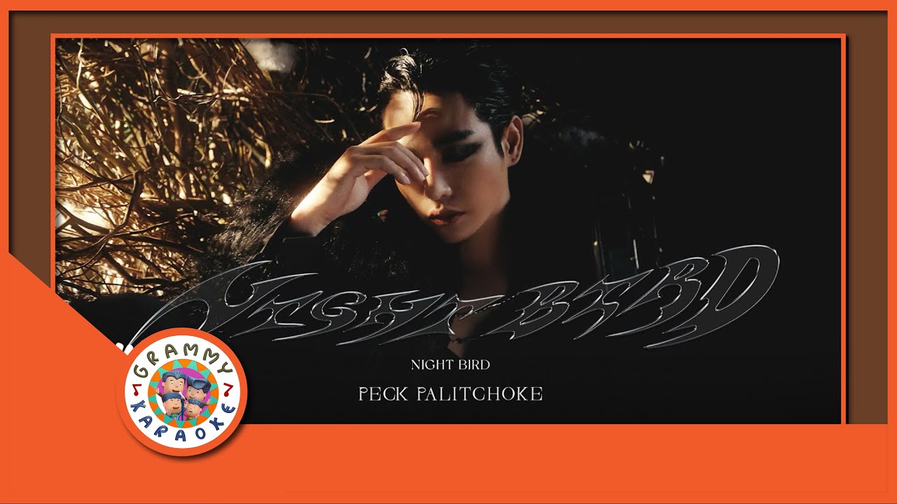 คาราโอเกะ NIGHT BIRD - เป๊ก ผลิตโชค [ Original Karaoke ]