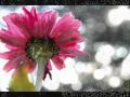 *~Te amare- Abraham Velazquez~*