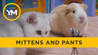 Meet Mittens and Pants | Your Morning
