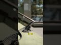 🎬 The Ultimate Why Chameleons Change Color Breakdown #Shorts