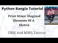 Python Minor Diagonal Matrix Bangla