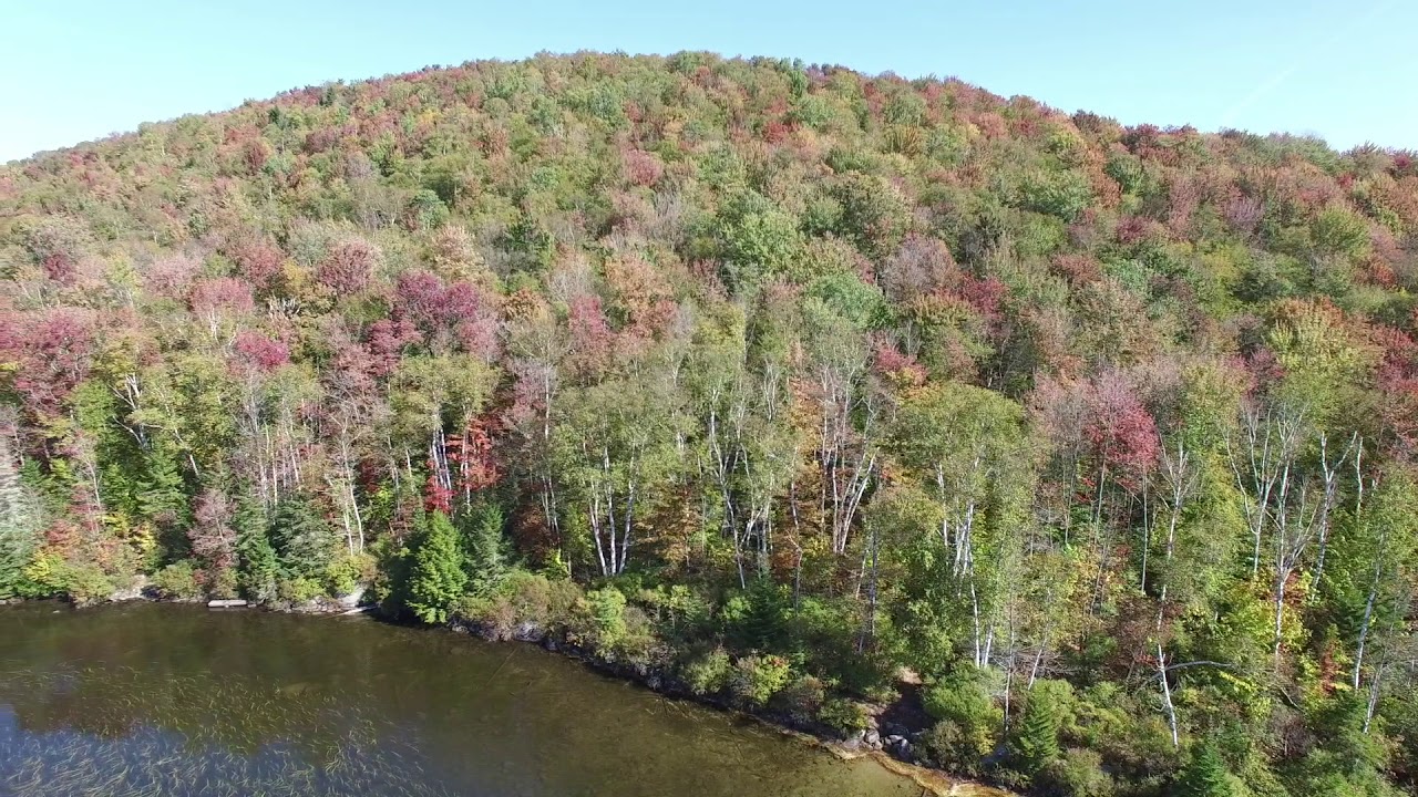 Groton State Forest 1