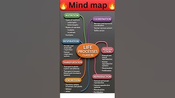 Class 10 Science Life Processes Mind Map | Easy Revision & Quick Notes
