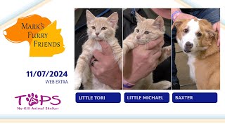 Little Tori, Little Michael and Baxter  | Mark's Furry Friends | Web Extra | 11/07/2024 Sky View