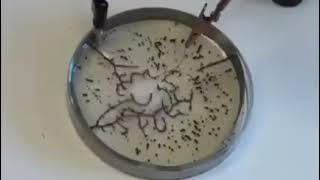 How the Graphene Oxide works once inside the body. logy does not need any electricity to run