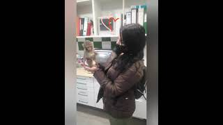 Visita al zoo de castellar 💞Málaga