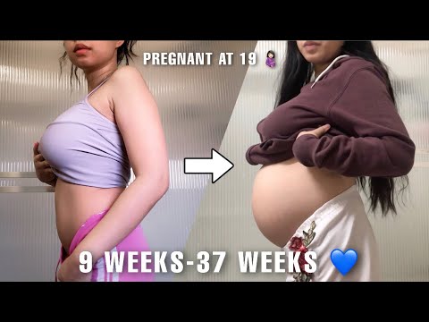 PREGNANCY BELLY PROGRESSION 🤰🏻| FIRST PREGNANCY