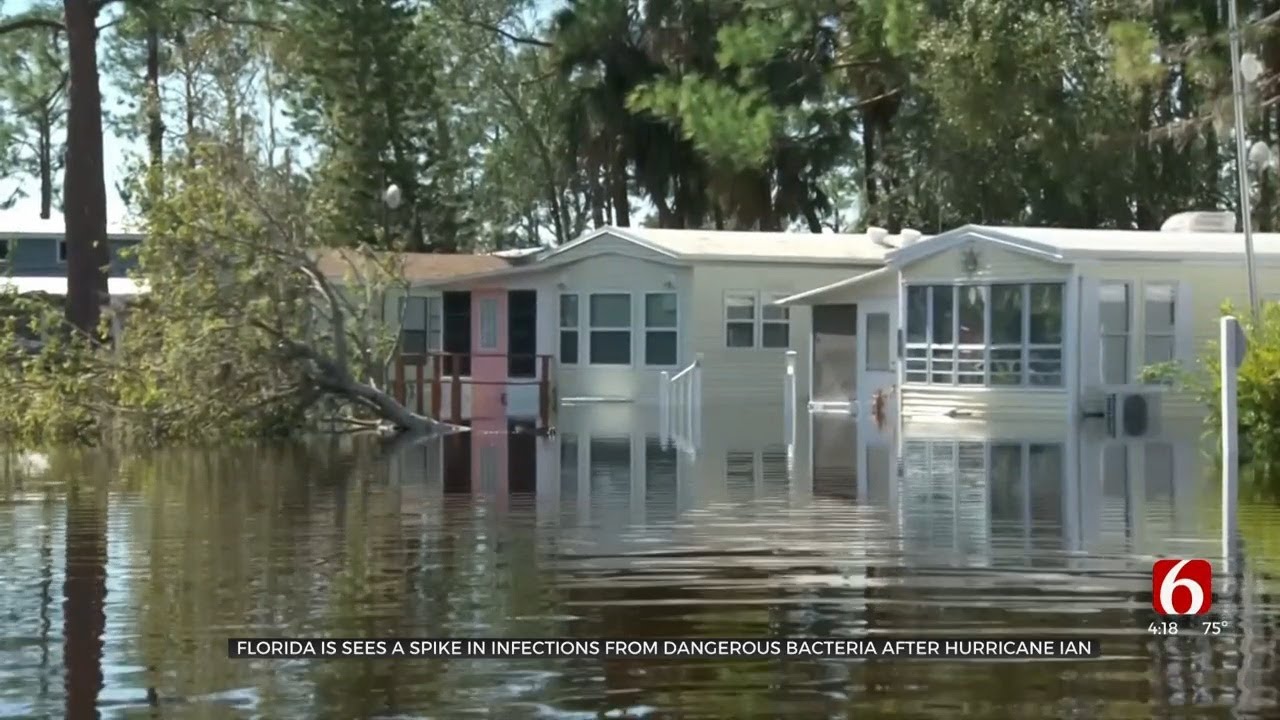 Florida Sees Spike Of Infections From Dangerous Bacteria After Hurricane Ian