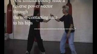 Single Whip - REV