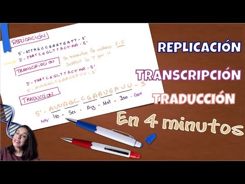 Video: Abreviatura OIT: transcripción, casos de uso, significado básico