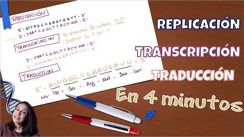 Aprendiendo a replicar, transcribir y traducir en 4 minutos. Bio[ESO]sfera