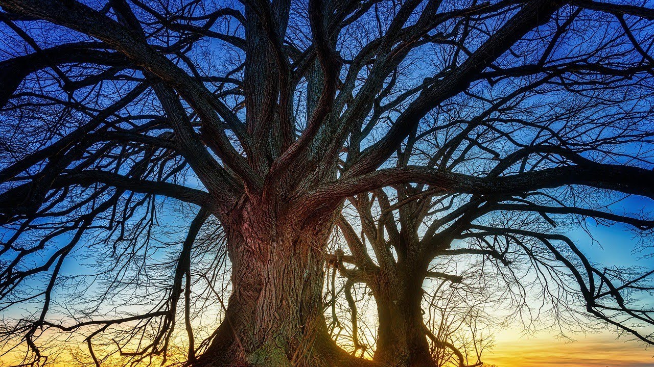 2k Subscribers Live Stream | Live 40 