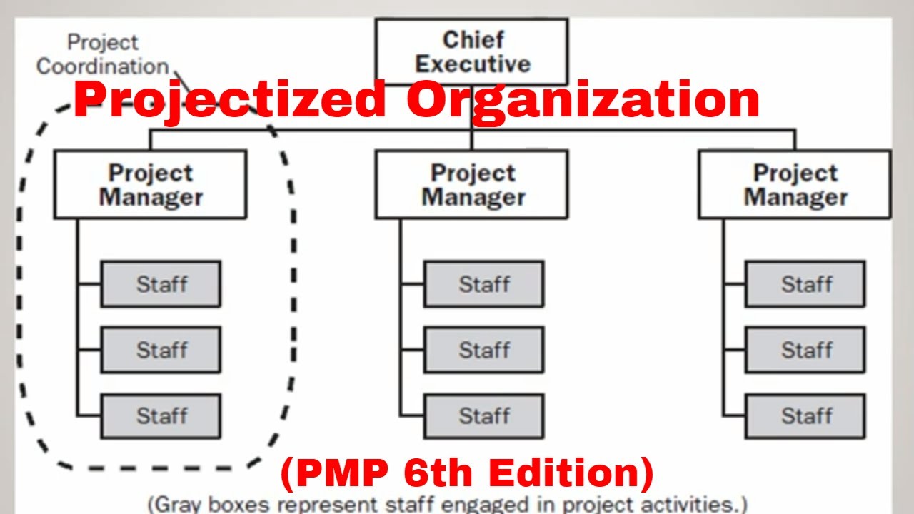 Projectized Organization Chart