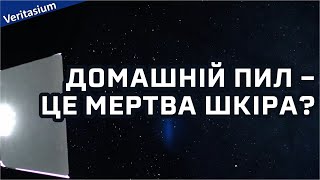 Домашній пил - це переважно мертва шкіра? [Veritasium]