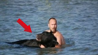 Drowning Bear in the Ocean – You Won’t Believe This Hero’s Response