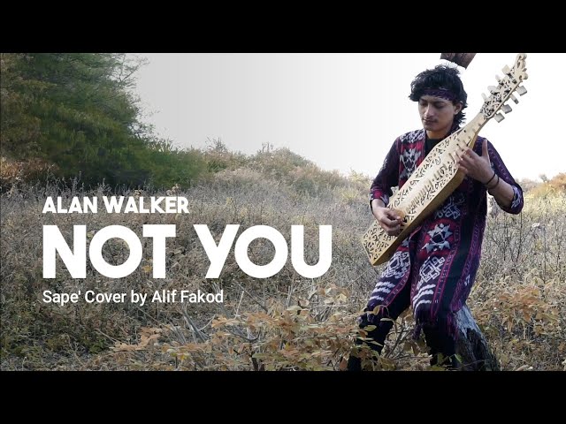 Alan Walker - Not You (Sape' Cover by Alif Fakod) class=