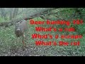 Deer hunting 101 What's a rub what's a Scrape