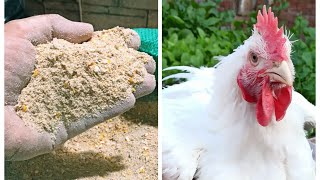 صناعة افضل علف لتسمين الدواجن في المنزل بطريقه سهله واقتصادية،🐔🐔🐣🐥