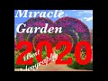 Vlog#2-DUBAI Miracle garden 2020