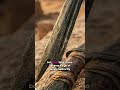 Why Egyptian Pharaohs Used Curved Swords