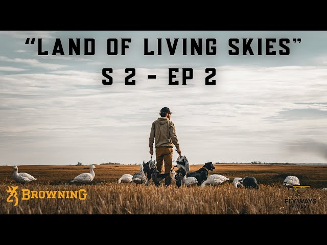 IT'S GAME-TIME as we have FLOCKS of SNOW GEESE LANDING in the DECOYS! S2 - E2 “Land of Living Skies"