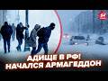 🤯В ЭТИ ЧАСЫ! СНЕЖНАЯ БУРЯ сносит полРФ (ВИДЕО)! Города СМЕТАЕТ В НОЛЬ. Россияне МАТЕРЯТ Путина