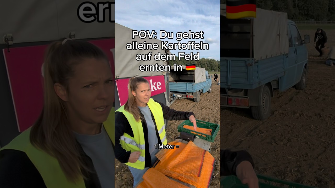 Alleine Kartoffeln auf dem Feld ernten. #pov #allein #kartoffeln #ahlen #hamm #deutsch #fyp #viral