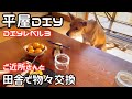 #19【独身女と保護犬】平屋DIYレベル3に挑戦｜田舎あるある、物々交換【平屋で暮らす】