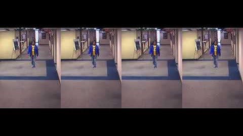 Rate Distortion DataHiding