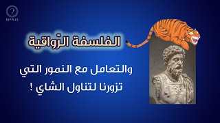 الفلسفة الرواقية : تصوّر الأسوأ وادفع مخاوفك لأقصى حدودها | ريبلز