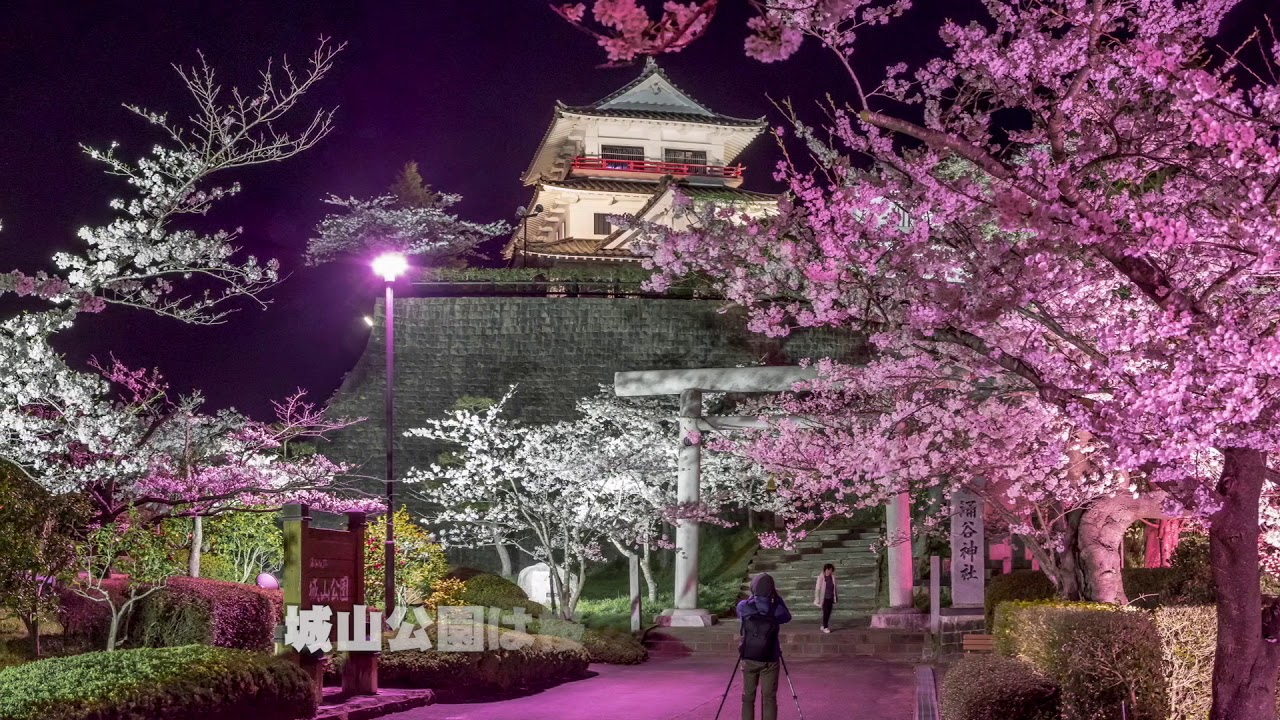 わくや桜まつり 城山公園 夜桜 18 4 12 遠田郡涌谷町 Youtube わくや桜まつり 城山公園 夜桜 18 4 12 遠田郡涌谷町 Youtube