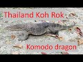 Thailand.Island Kho Rock.Komodo dragon.Тайланд.Встреча с вараном.Андаманское море.Остров Ко Рок.