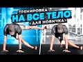 Круговая тренировка / Тренировка на все тело / Full body workout