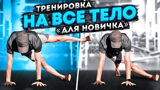 Круговая тренировка / Тренировка на все тело / Full body workout