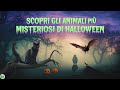 Scopri gli Animali più Misteriosi di Halloween!