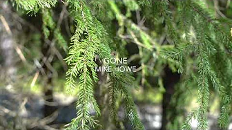 GONE, Mike Howe GONE, Mike Howe