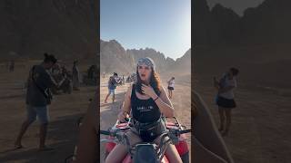 Atlar Yaşlı Adama Yardım Etti