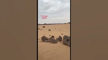شاهد ردة فعل ذئب بعد أن نادى عليه صاحبه في الصحراء 