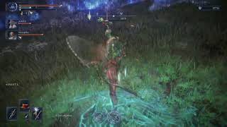 Lets do some Nightreign!