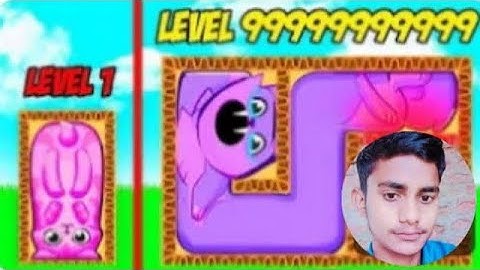 Forcing Cats into dangerous Situations Black puzzle cats