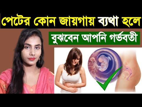 ভিডিও: আপনি কি ব্যাটের আঁচড় অনুভব করবেন?