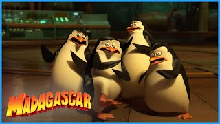 DreamWorks Madagascar | The penguins are scared | Penguins of Madagascar | Kids Movies