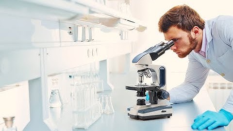 Swift 40X-2500X Binocular Lab Compound Microscope with 3D Mechanical Stage LED