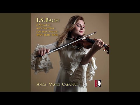 Solo Violin Sonata No. 1 in G Minor, BWV 1001: I. Adagio